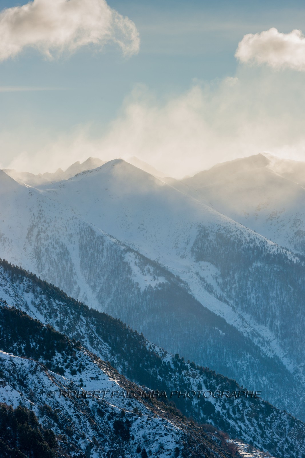 Auron
