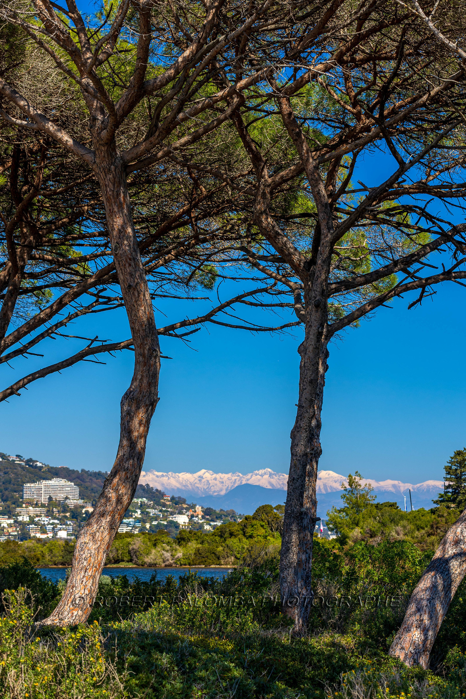 Lérins Sainte-Marguerite