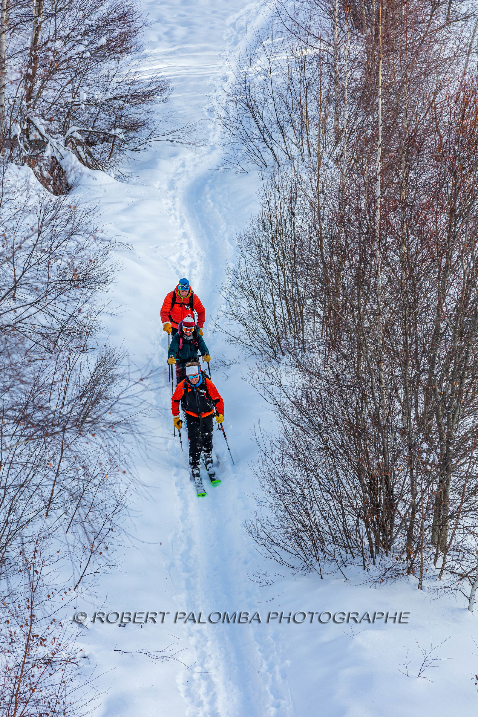 Ski de randonnée