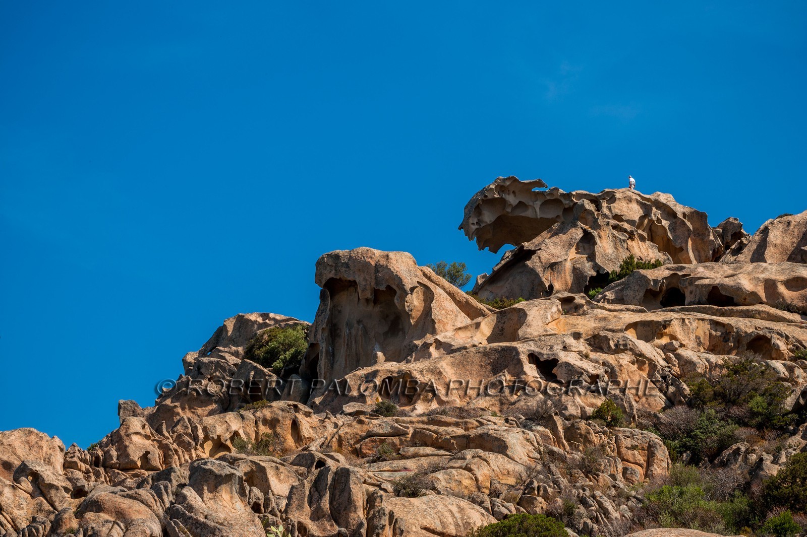 Capo d'Orso