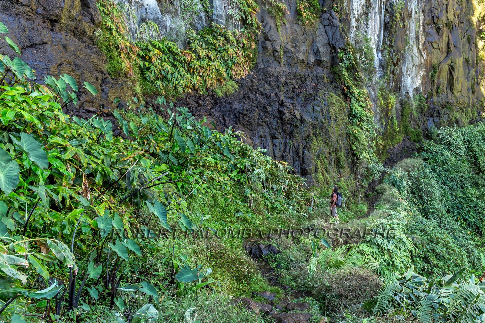 Ile de La Réunion