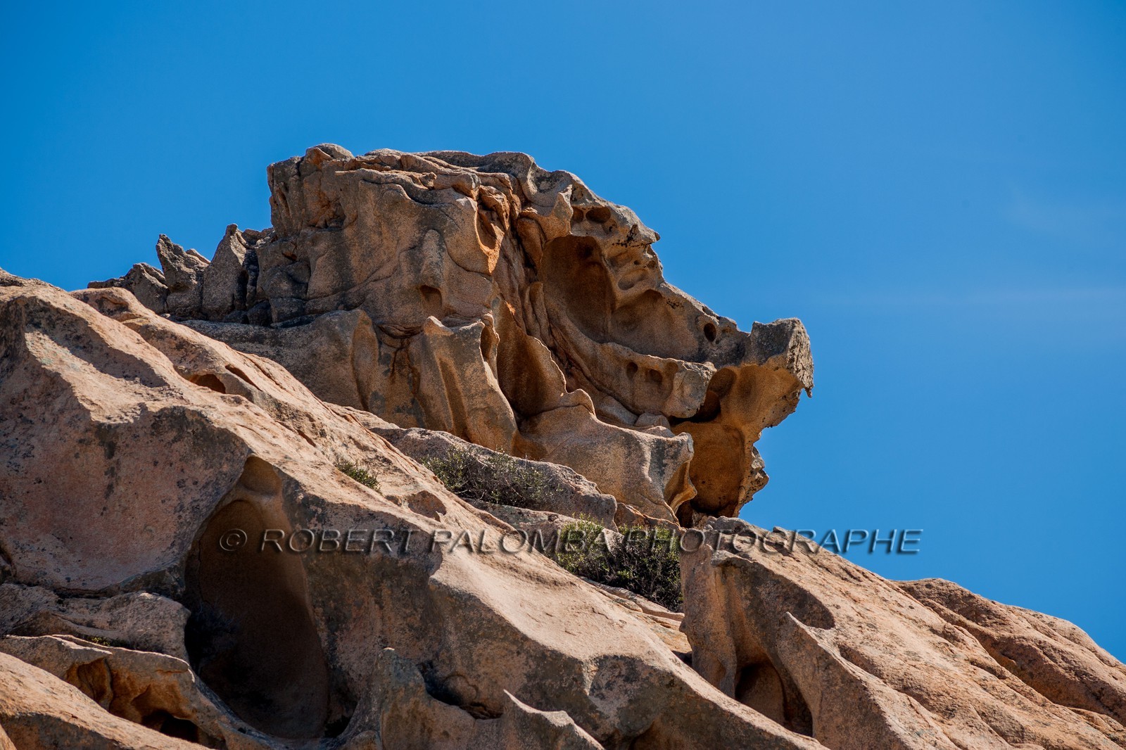 Capo d'Orso