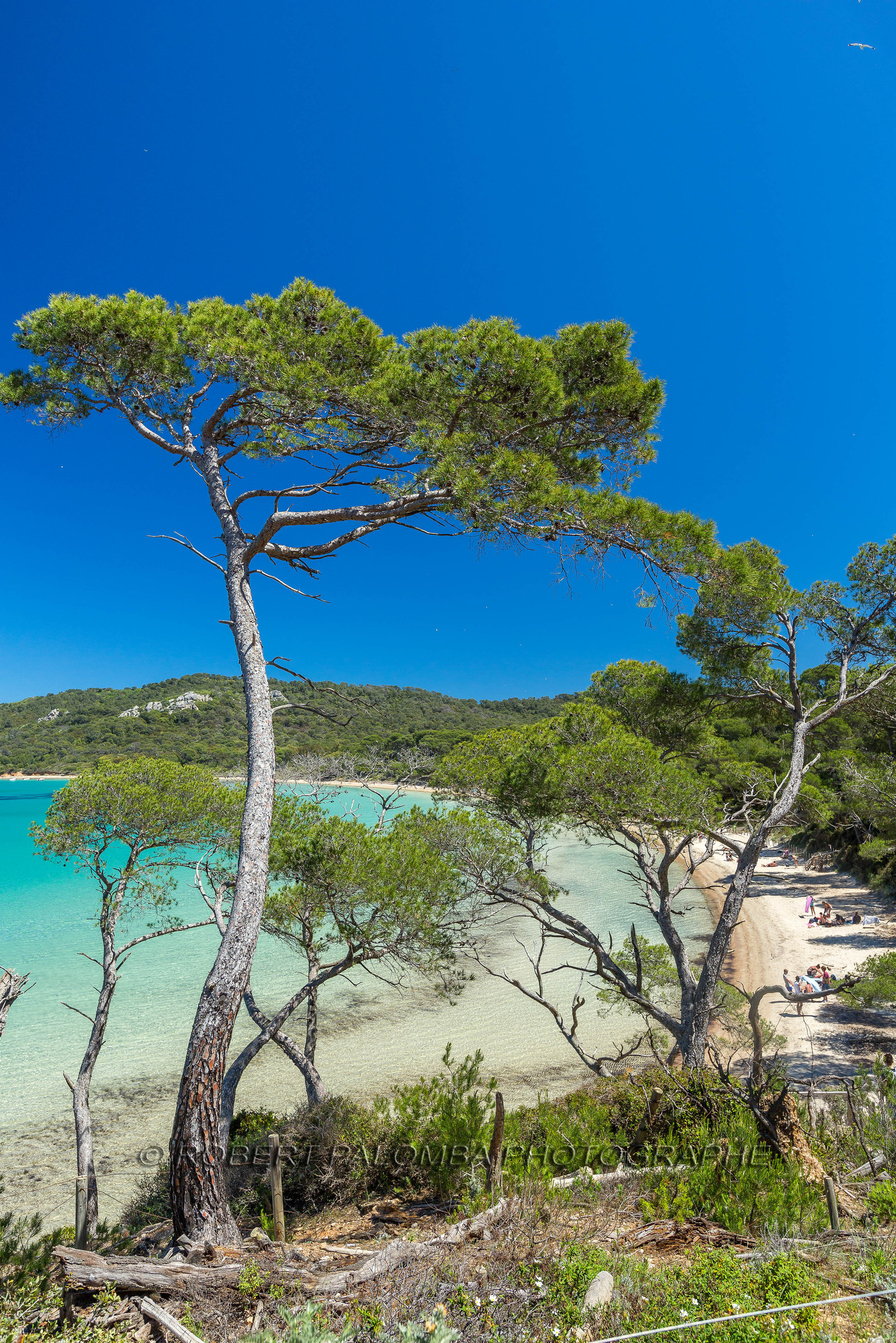 Porquerolles