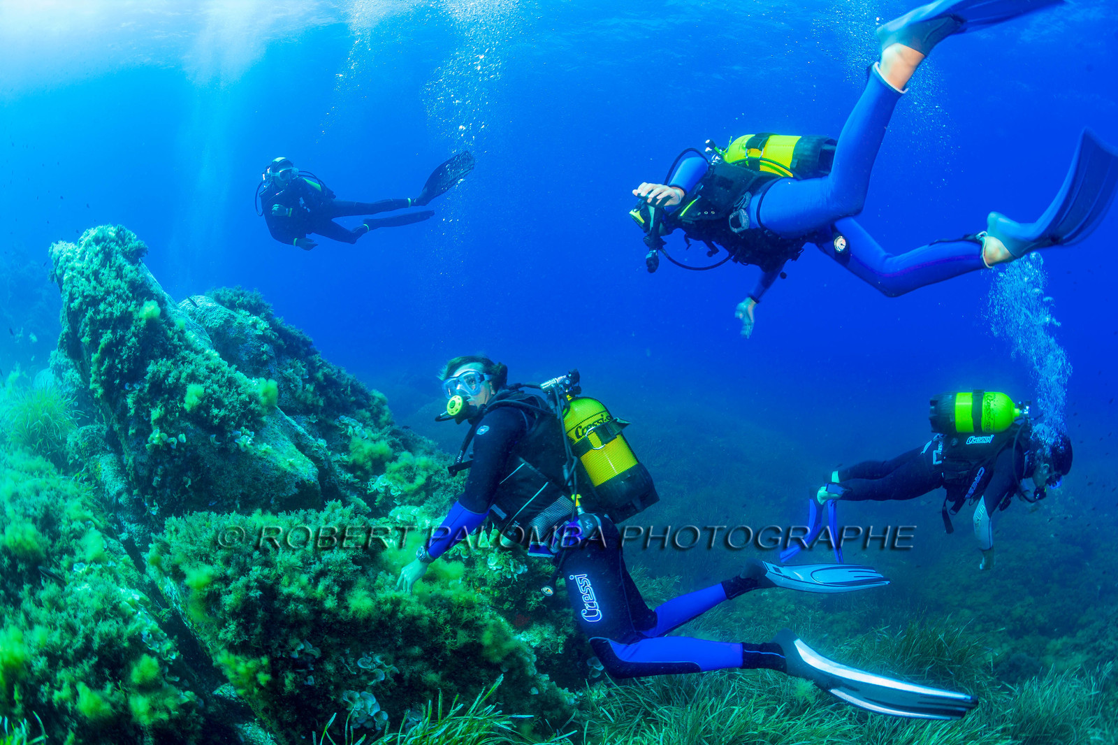 Plongée-sous-marine