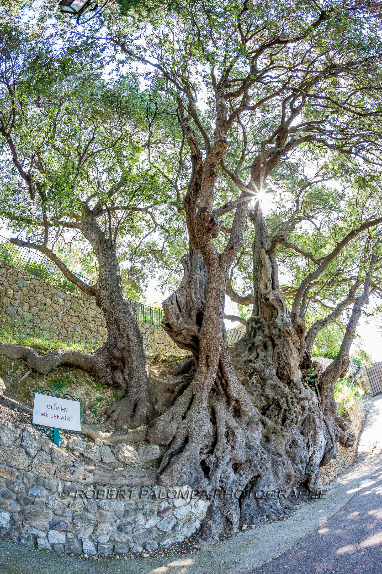 Roquebrune-Cap-Martin
