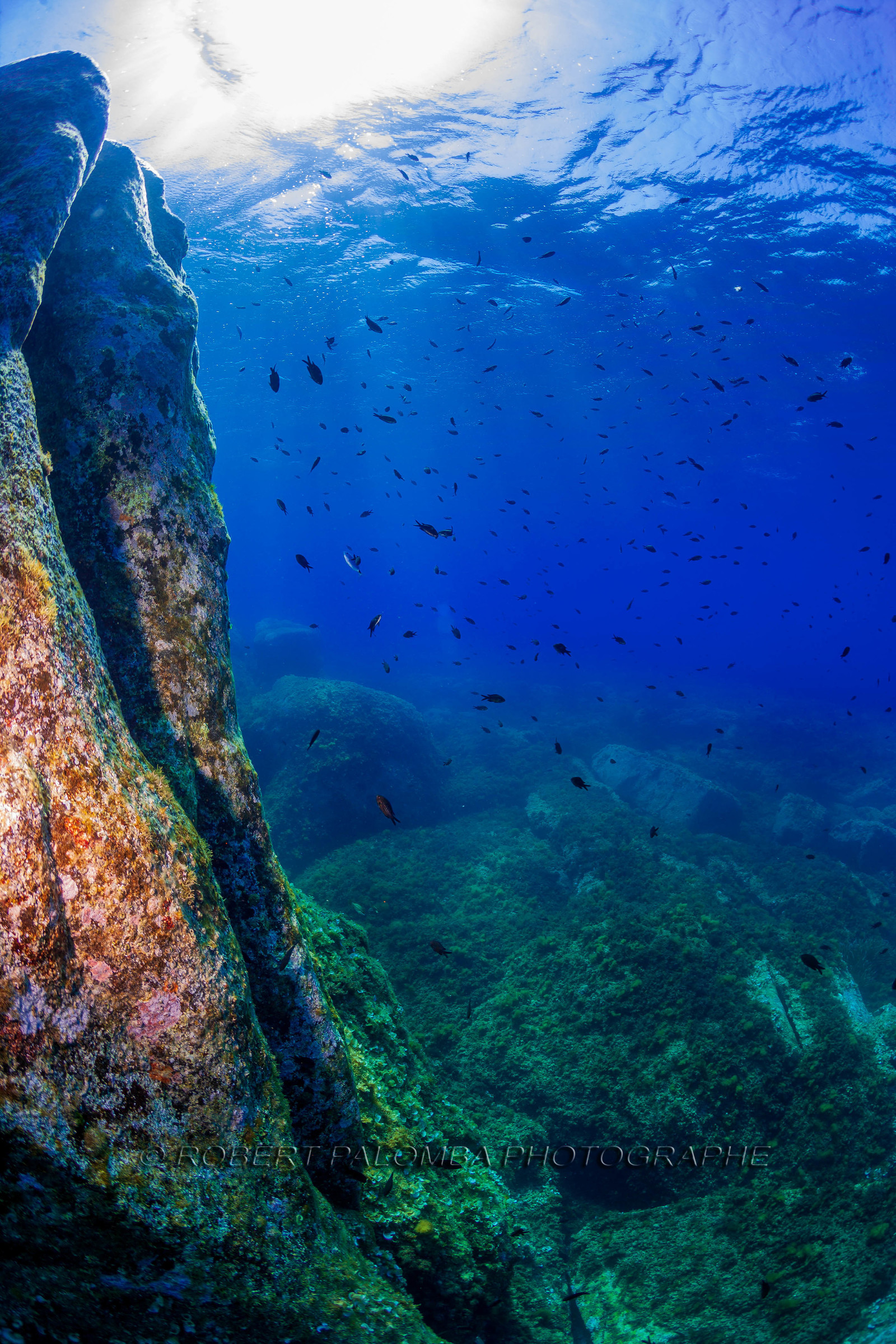 Plongée-sous-marine