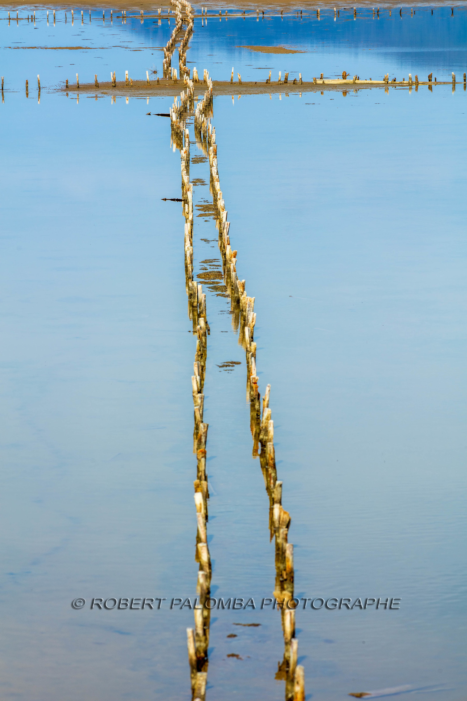 Salins d'Hyères