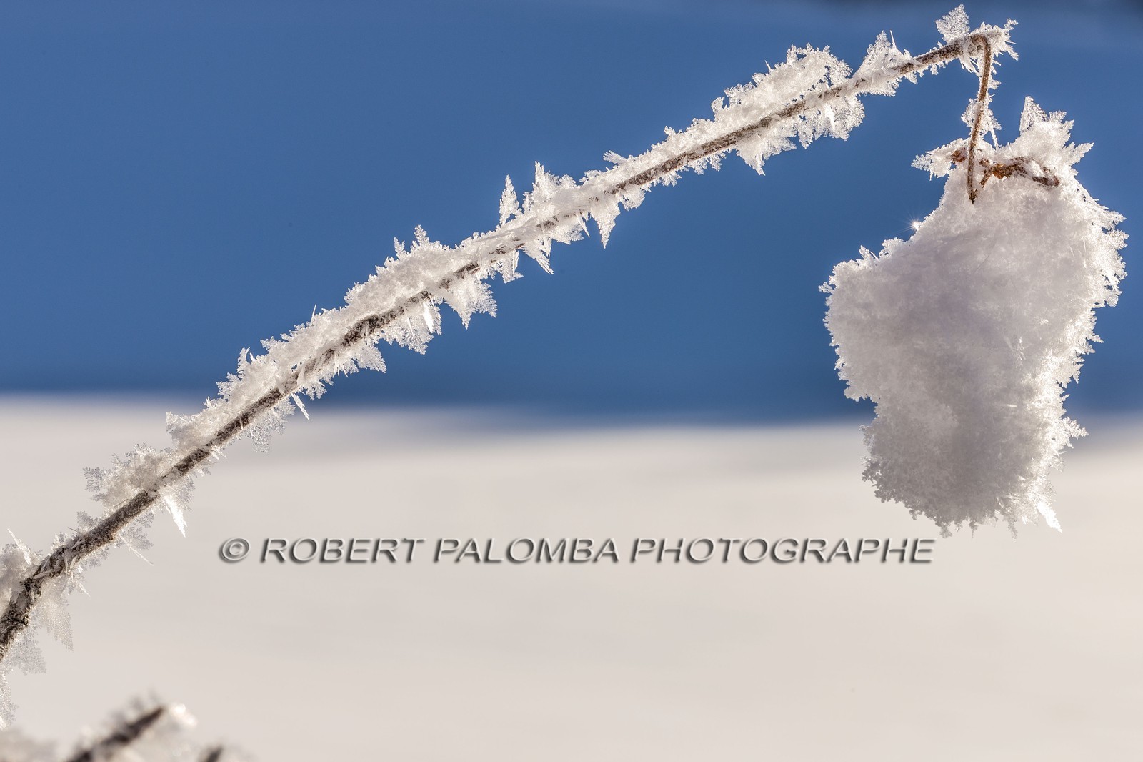 Cristaux de neige