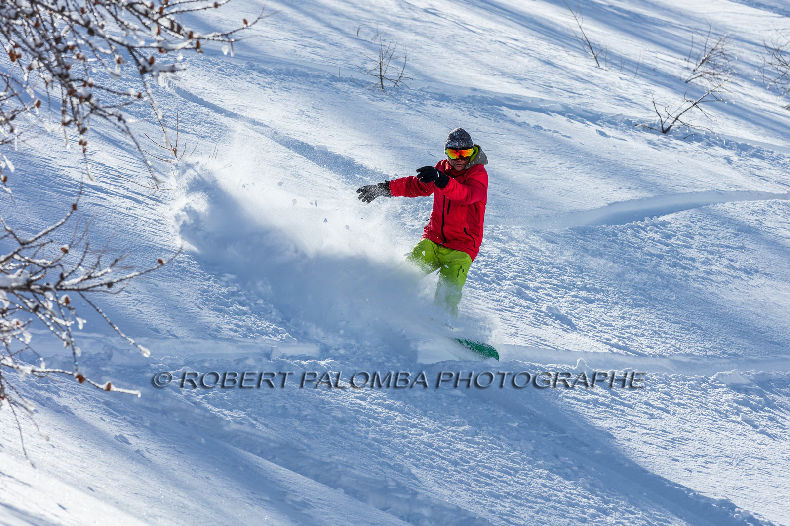 Snowboard