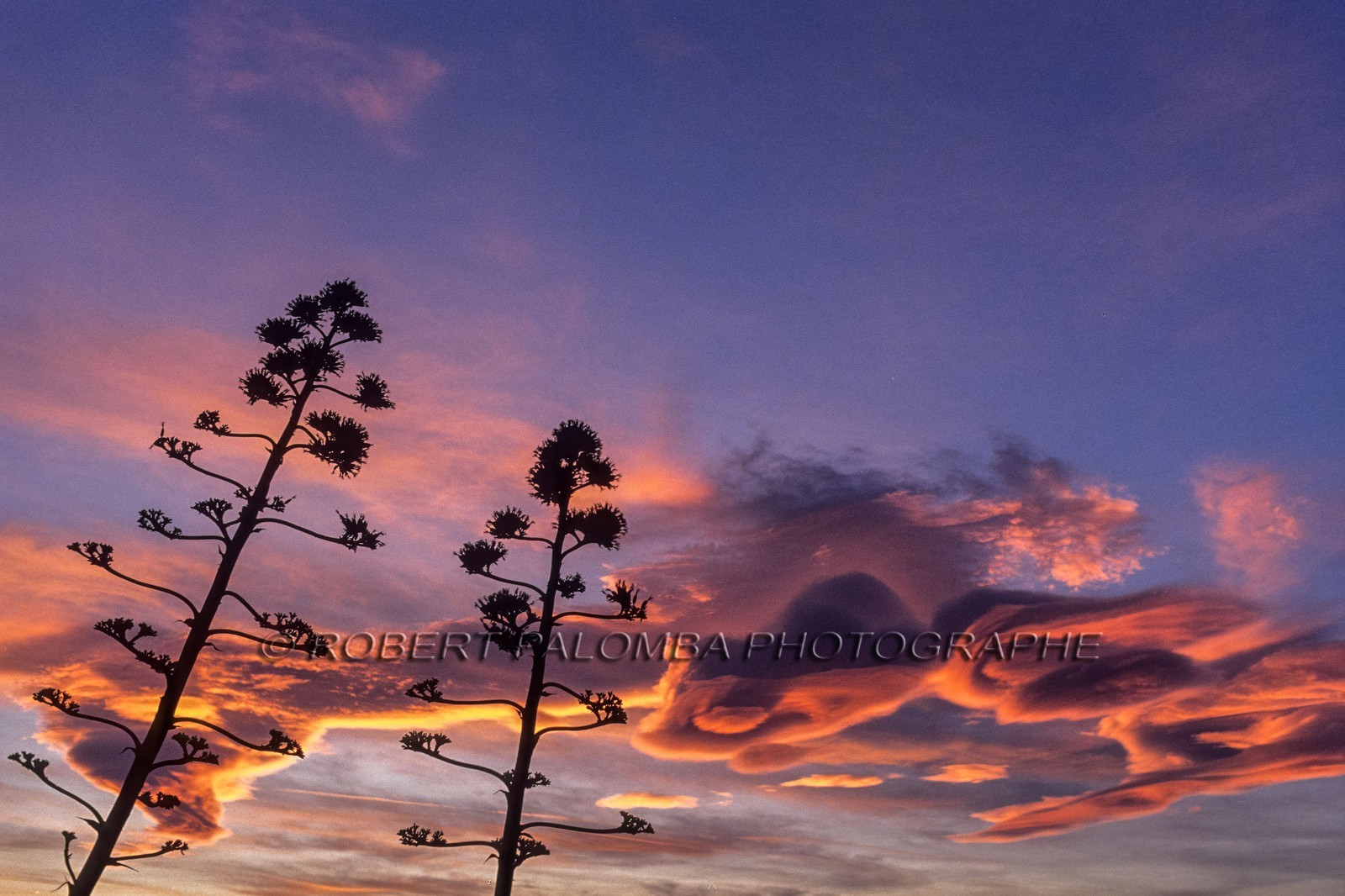 Nuages lenticulaires