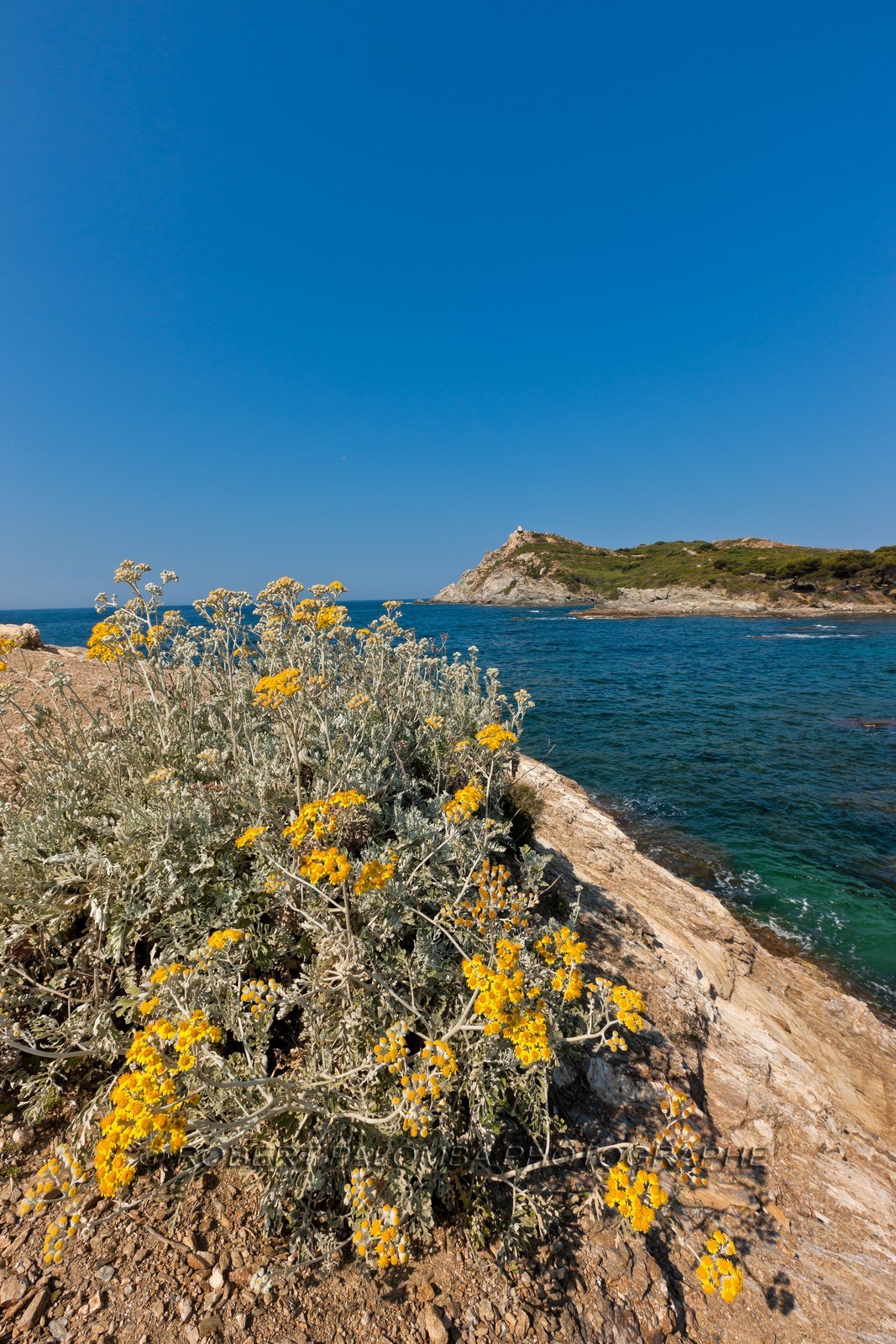 Ile du Grand Gaou