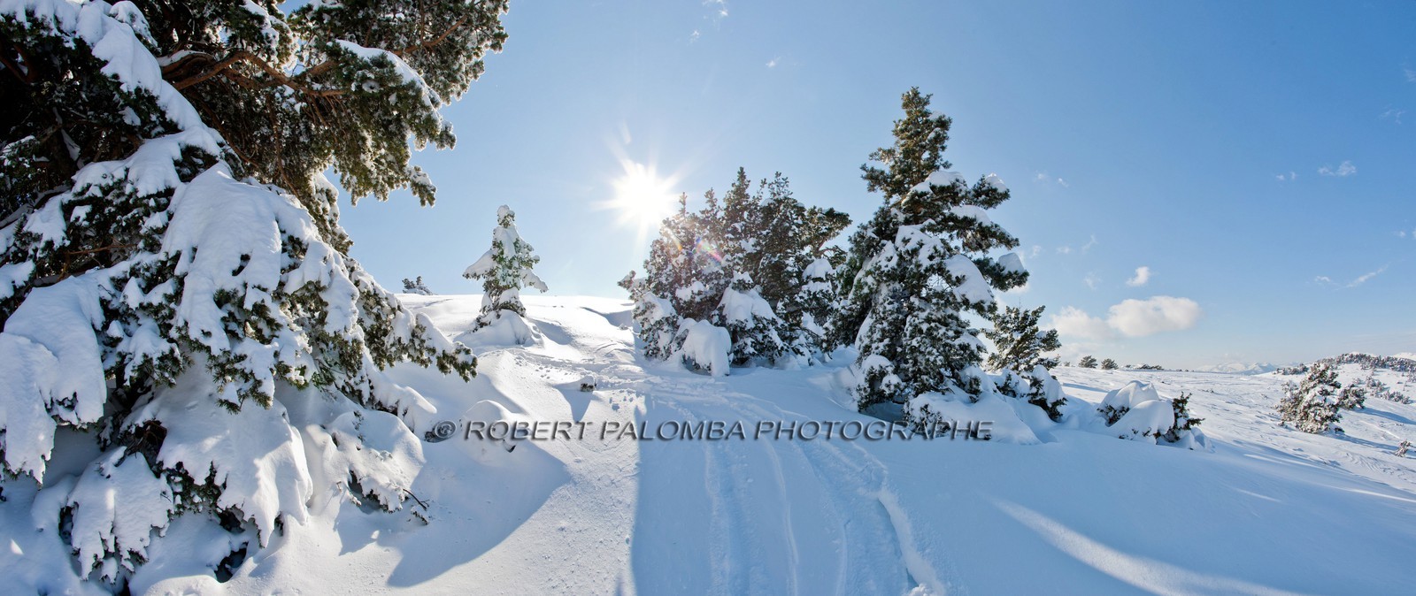 Paysage d'hiver