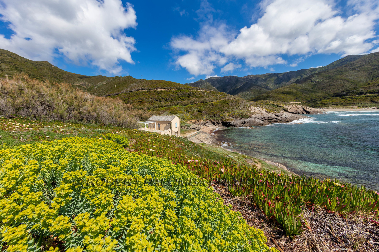 Aliso