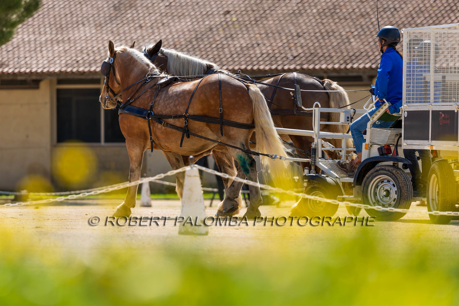 Haras national d'Uzès