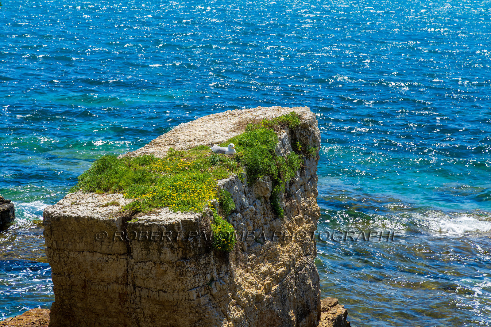 Lérins Sainte-Marguerite 2024