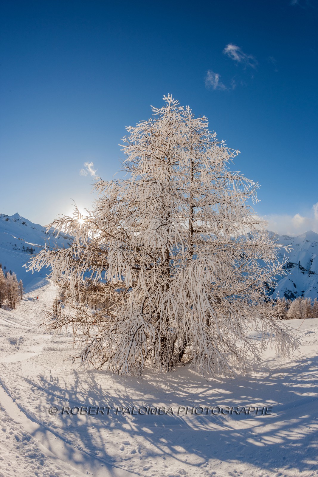 Auron