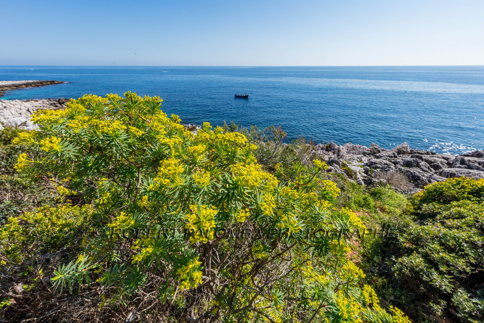 Roquebrune-Cap-Martin