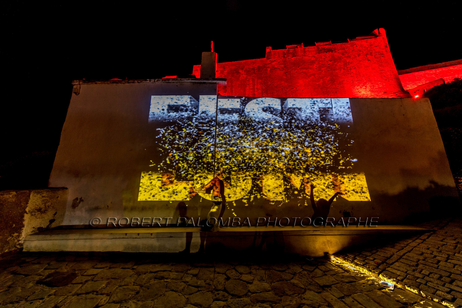 Festi Lumi 2019