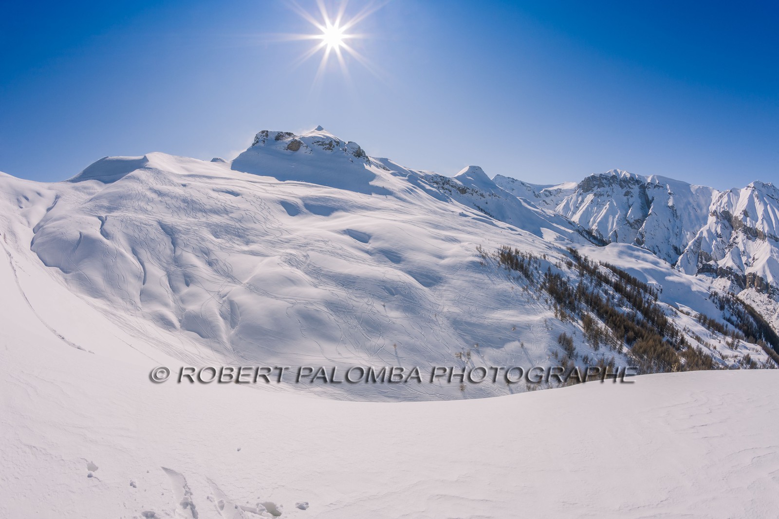 Auron