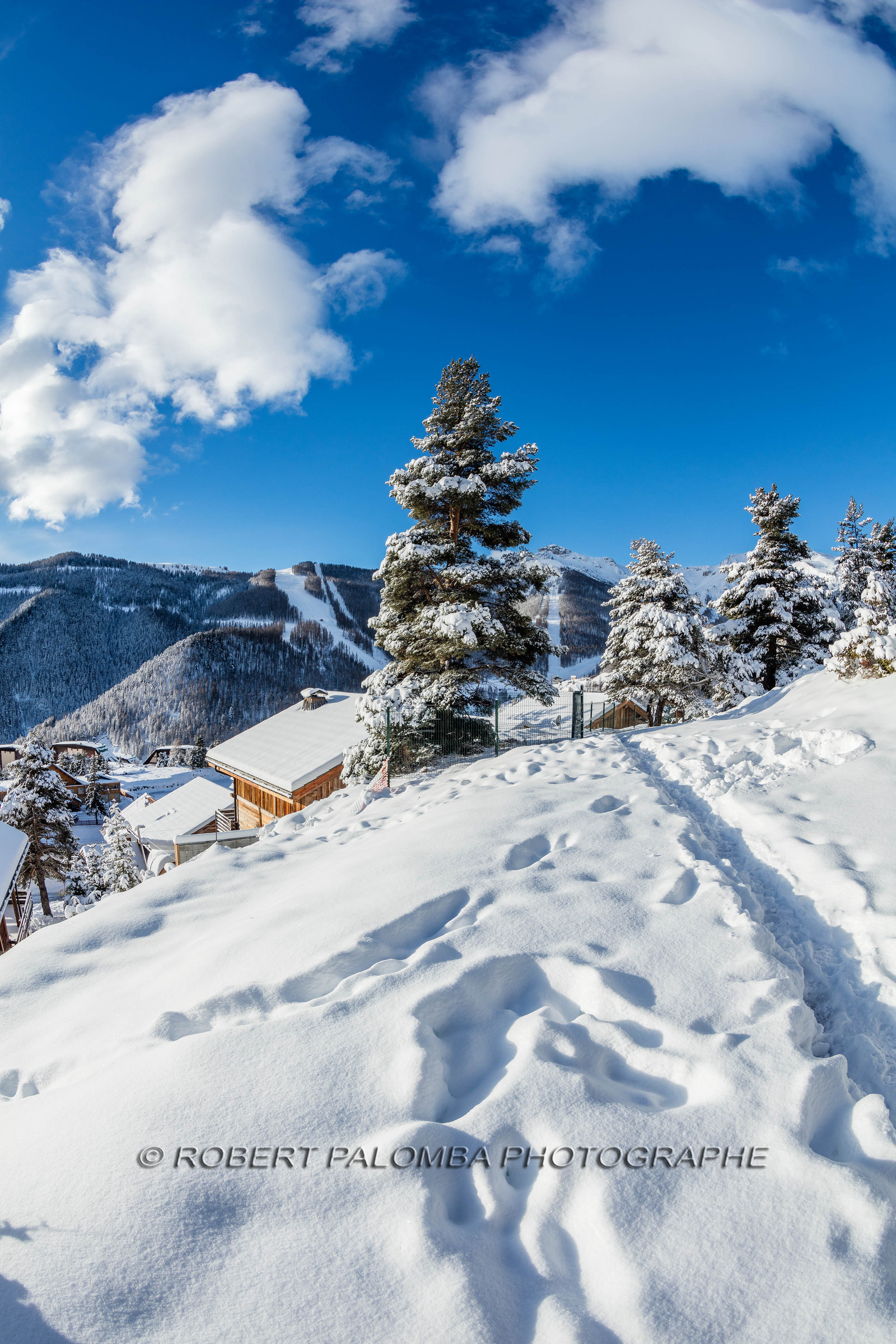 Auron