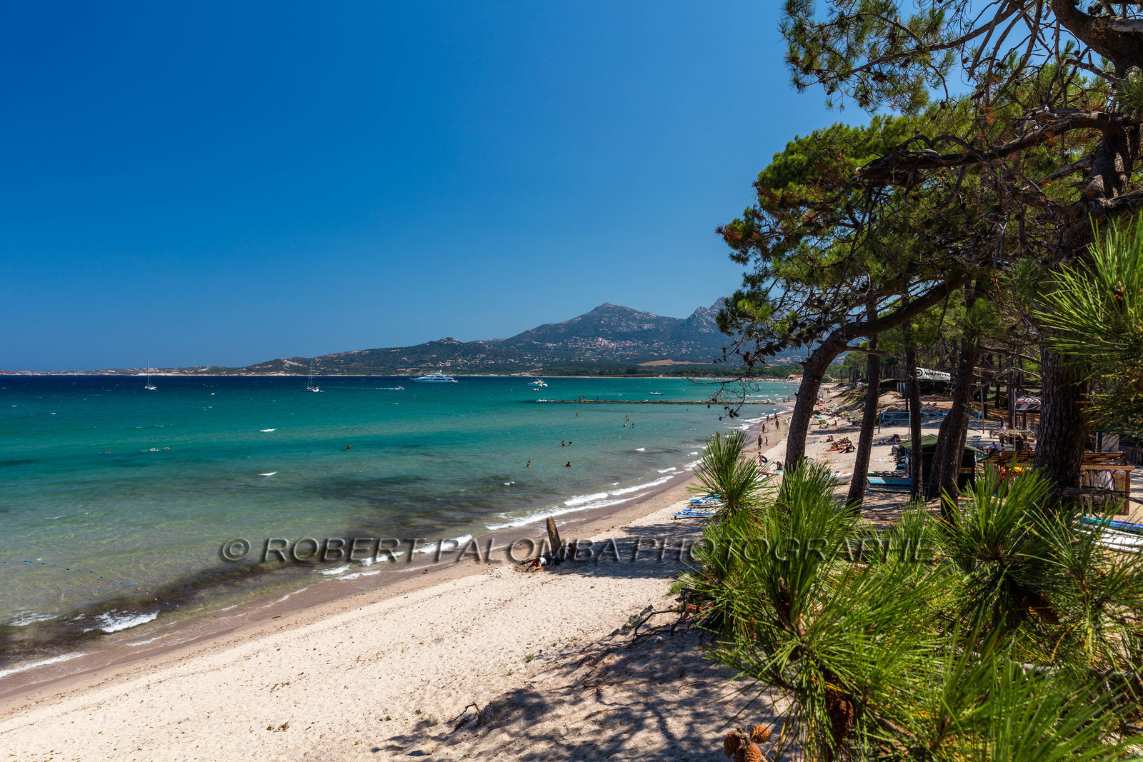 Calvi
