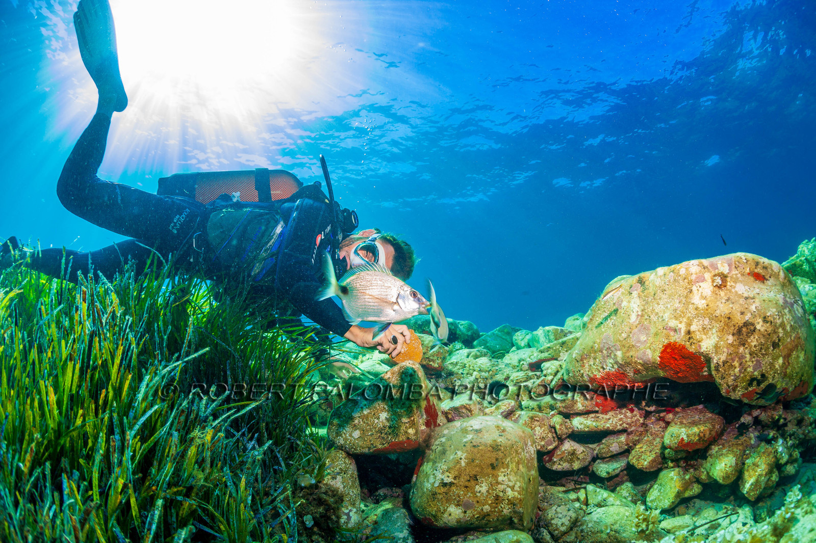 Plongée-sous-marine