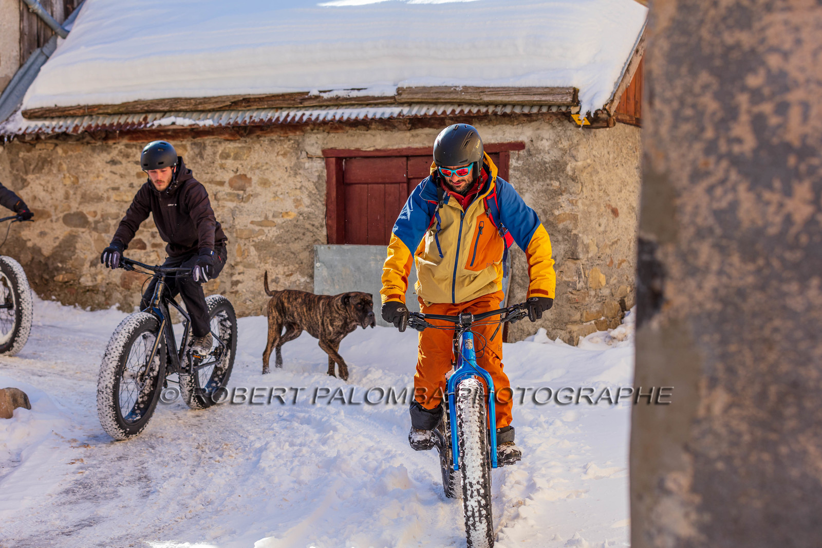 Fat Bike