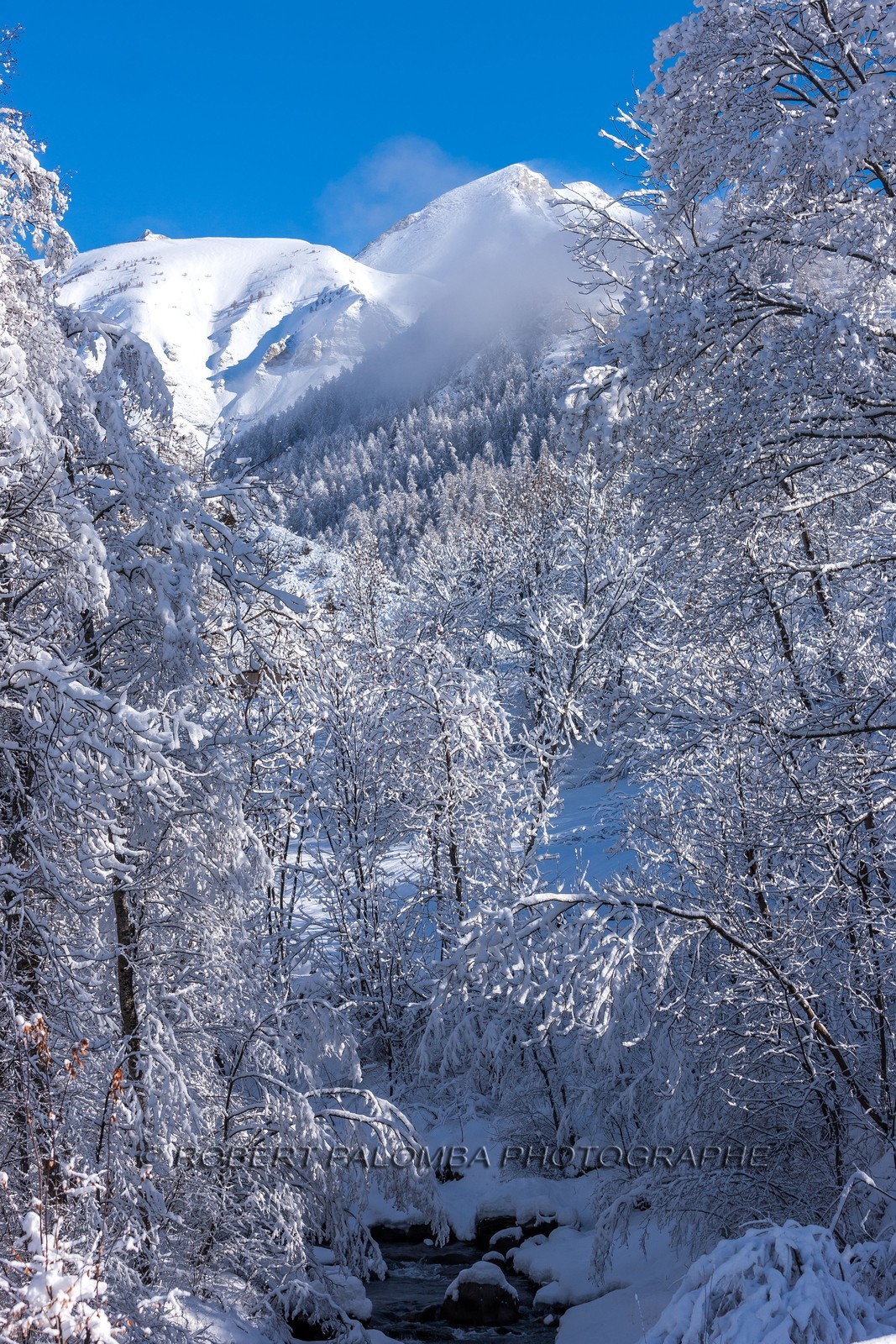 Allos