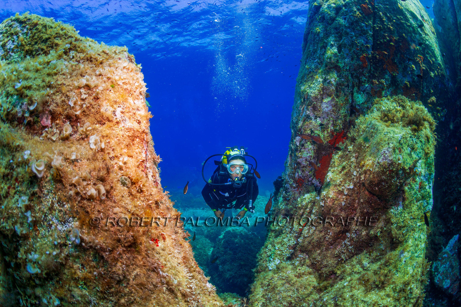Plongée-sous-marine