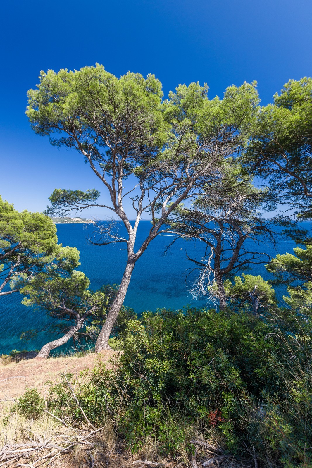 La Seyne-sur-Mer