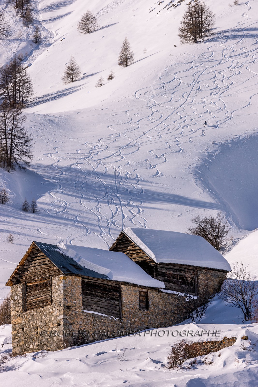 Auron