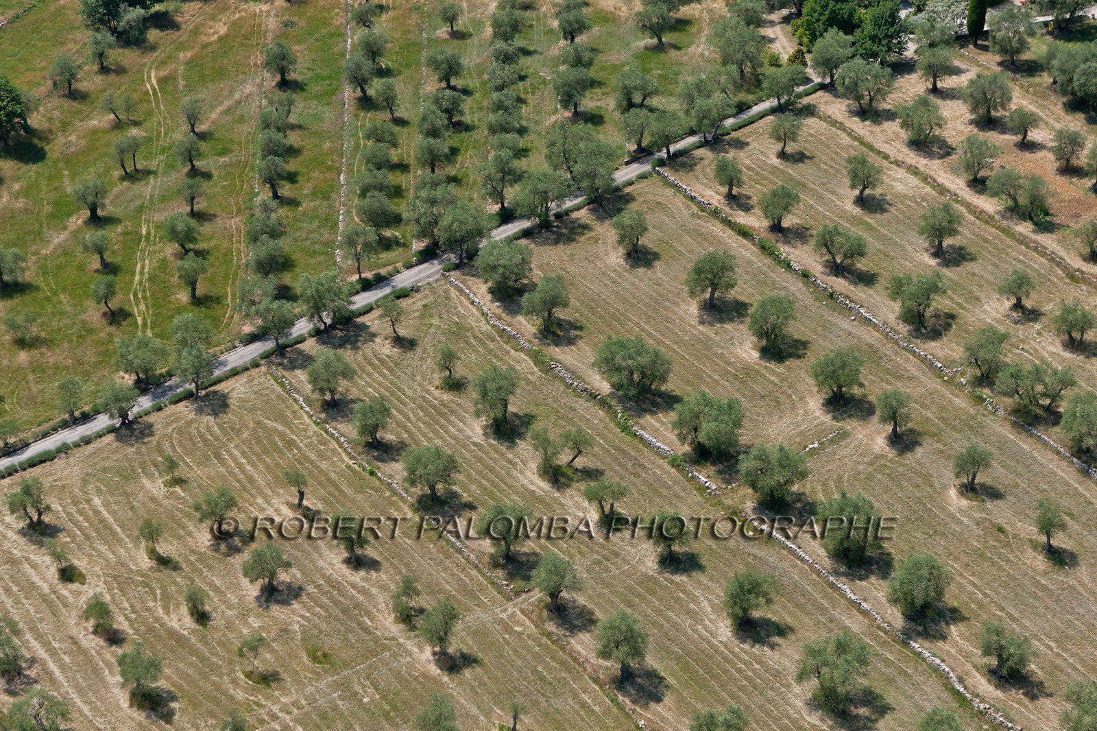 Sophia Antipolis