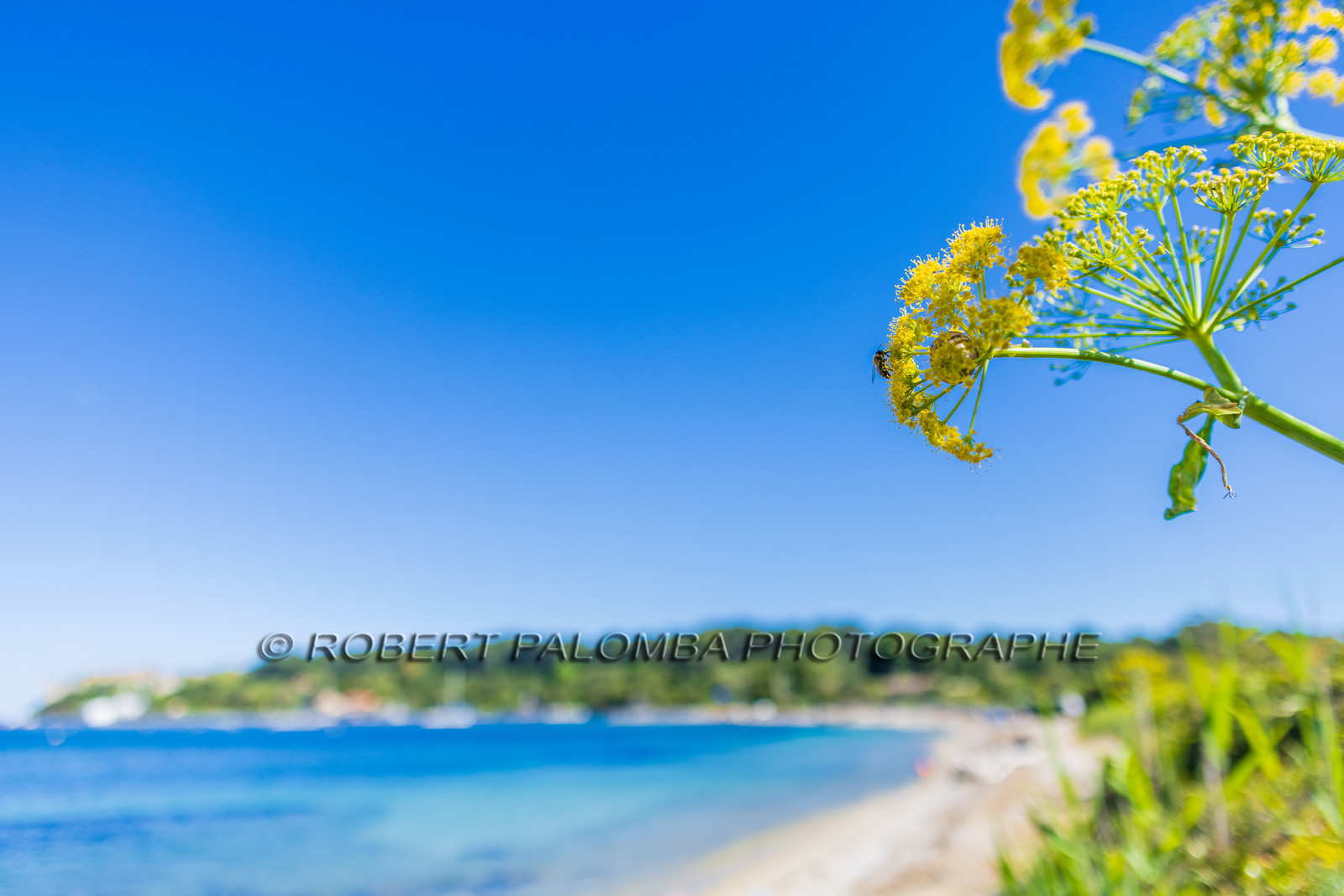 Lérins Sainte-Marguerite 2024