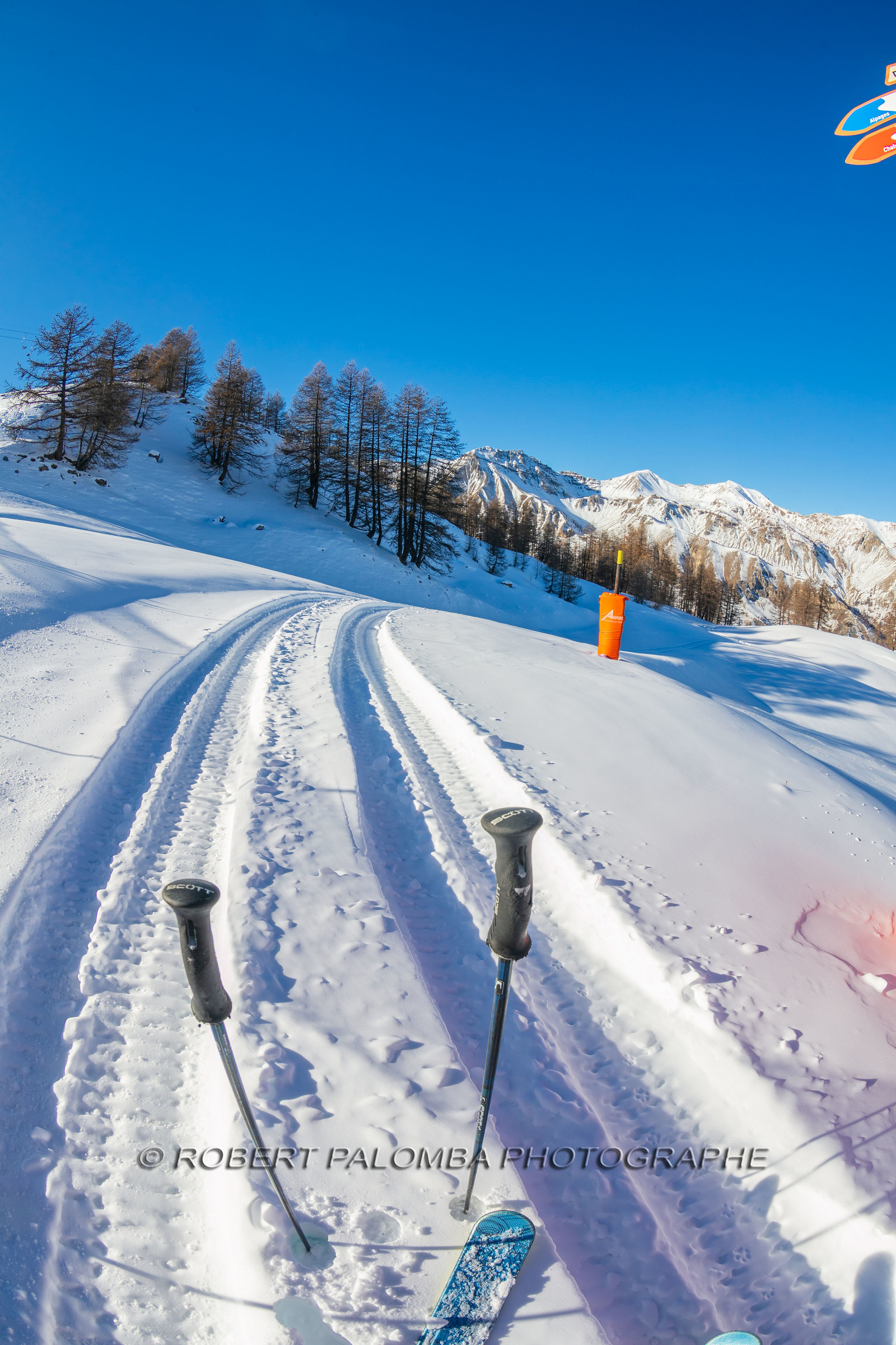 Auron