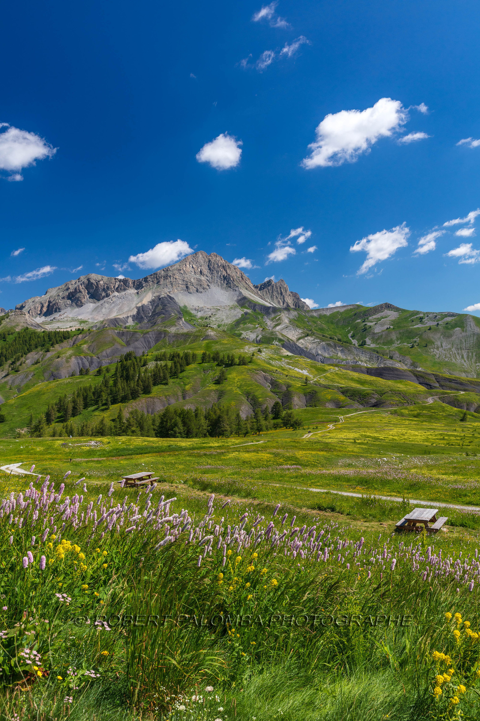 Col des Champs