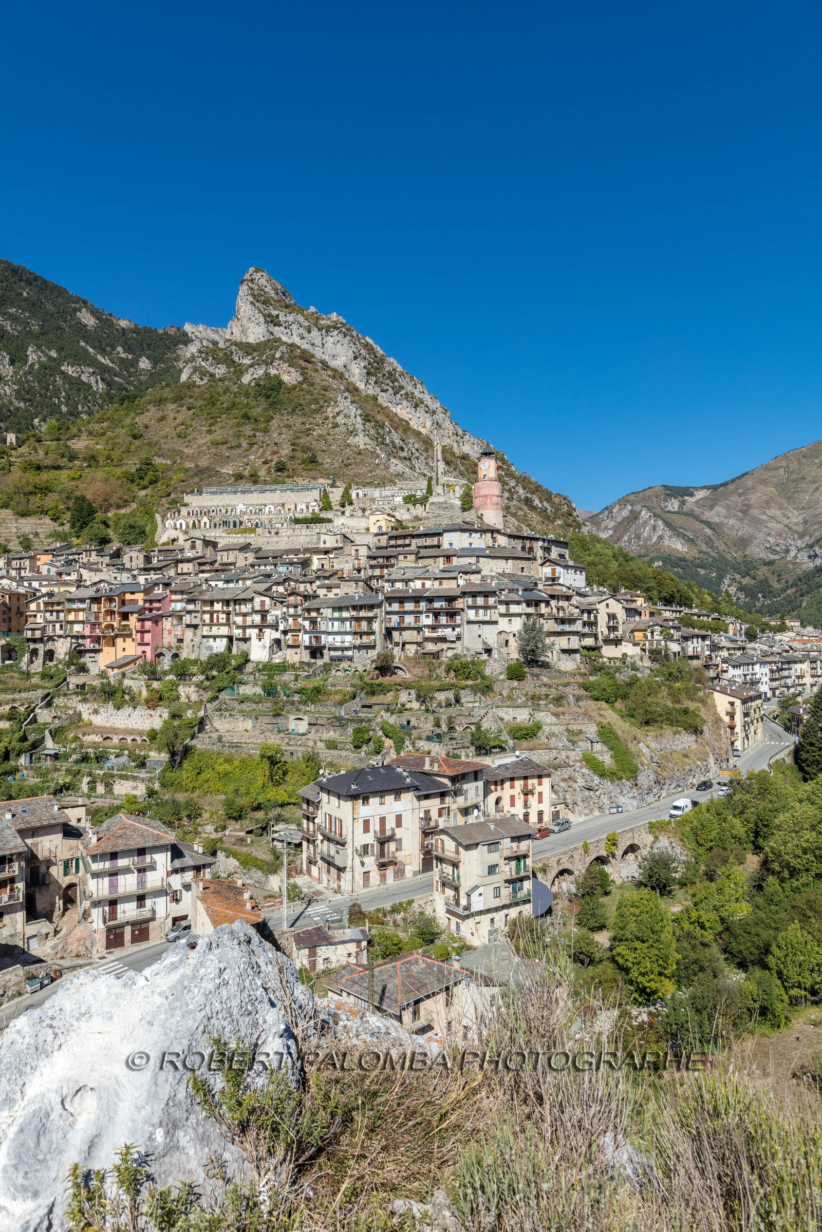 Tende