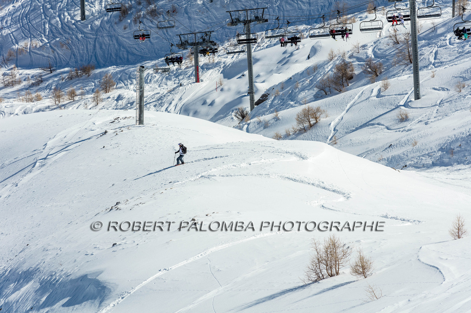Freeride