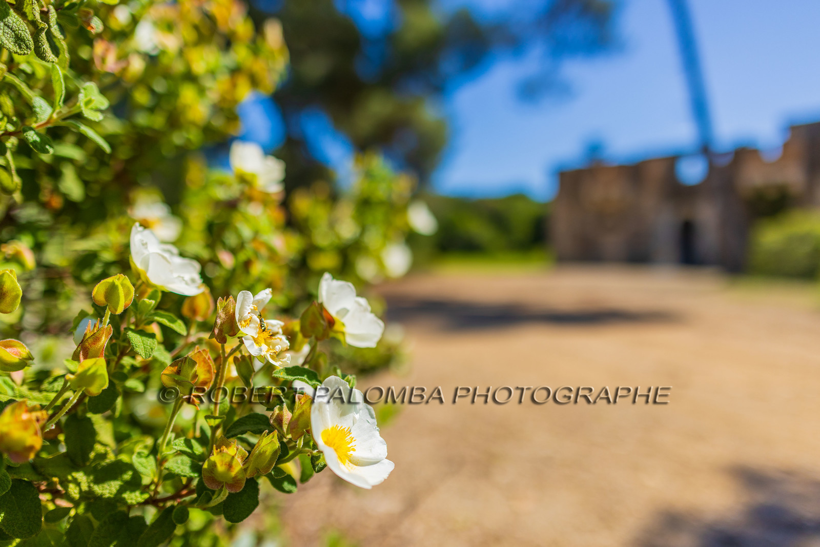 Lérins Sainte-Marguerite 2024