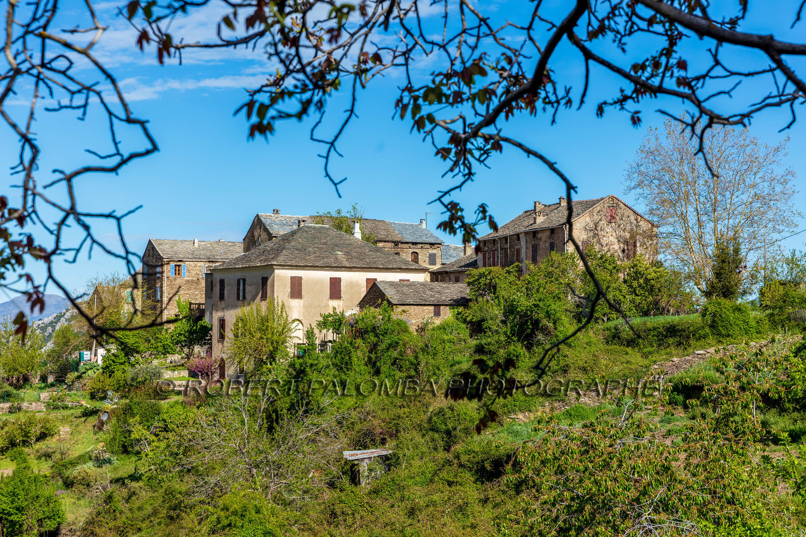 Castineta