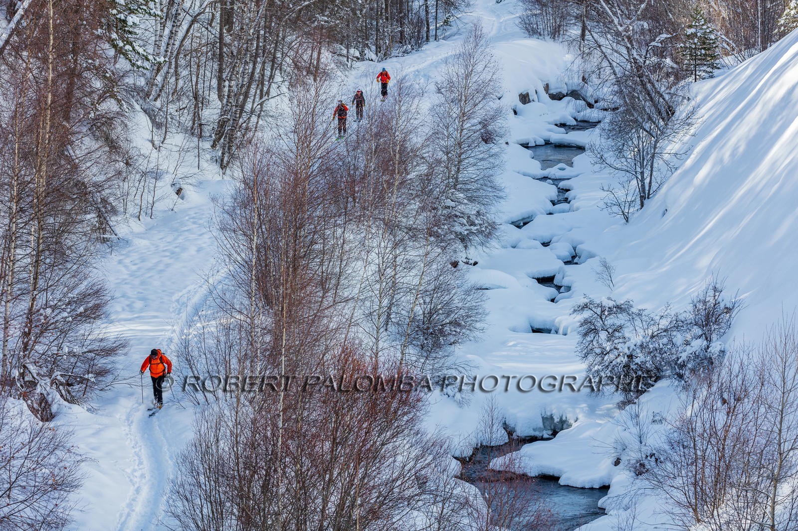 Ski de randonnée