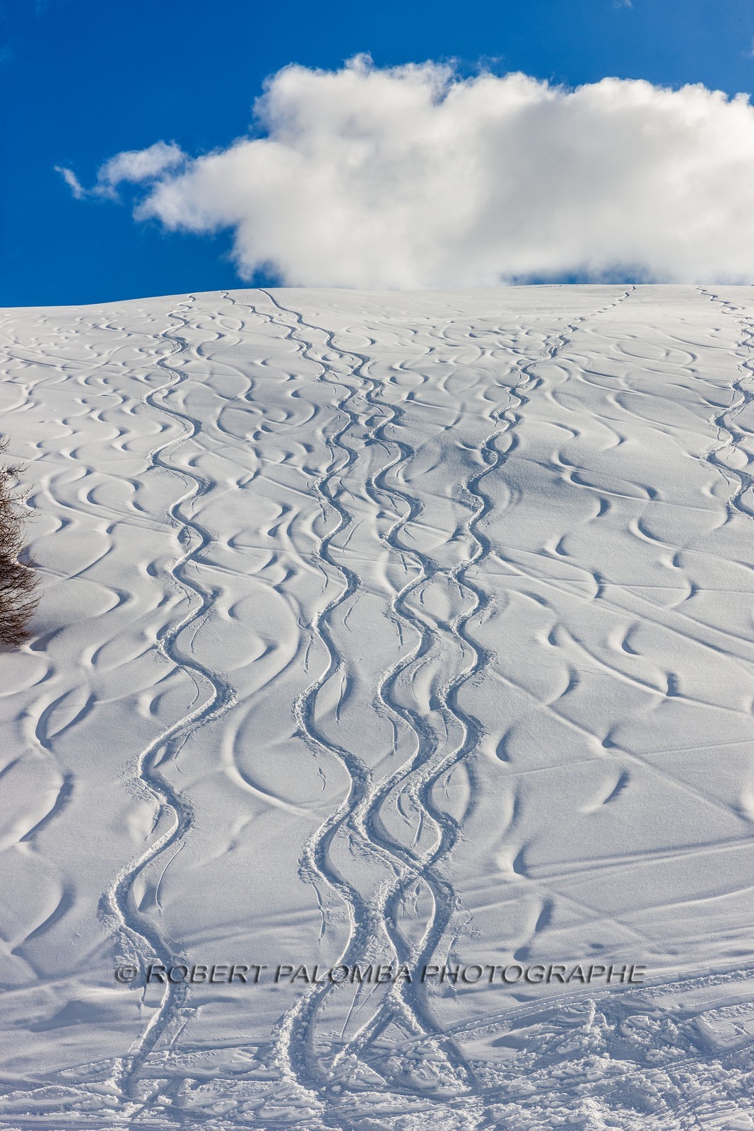 Auron