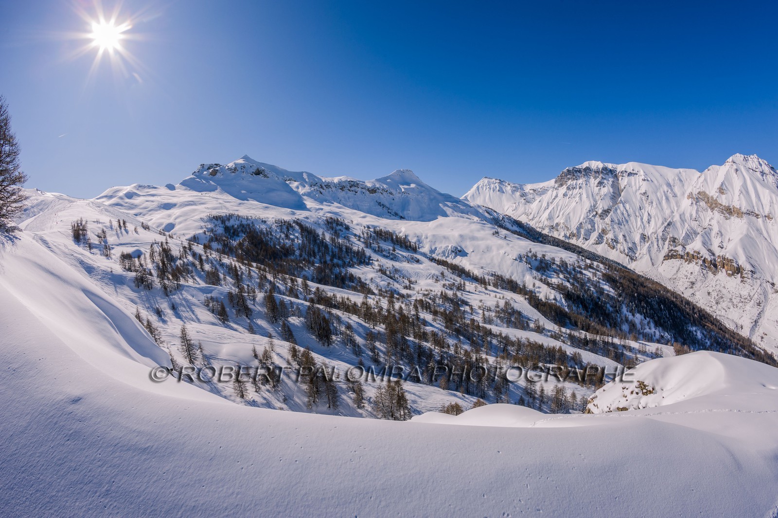 Auron