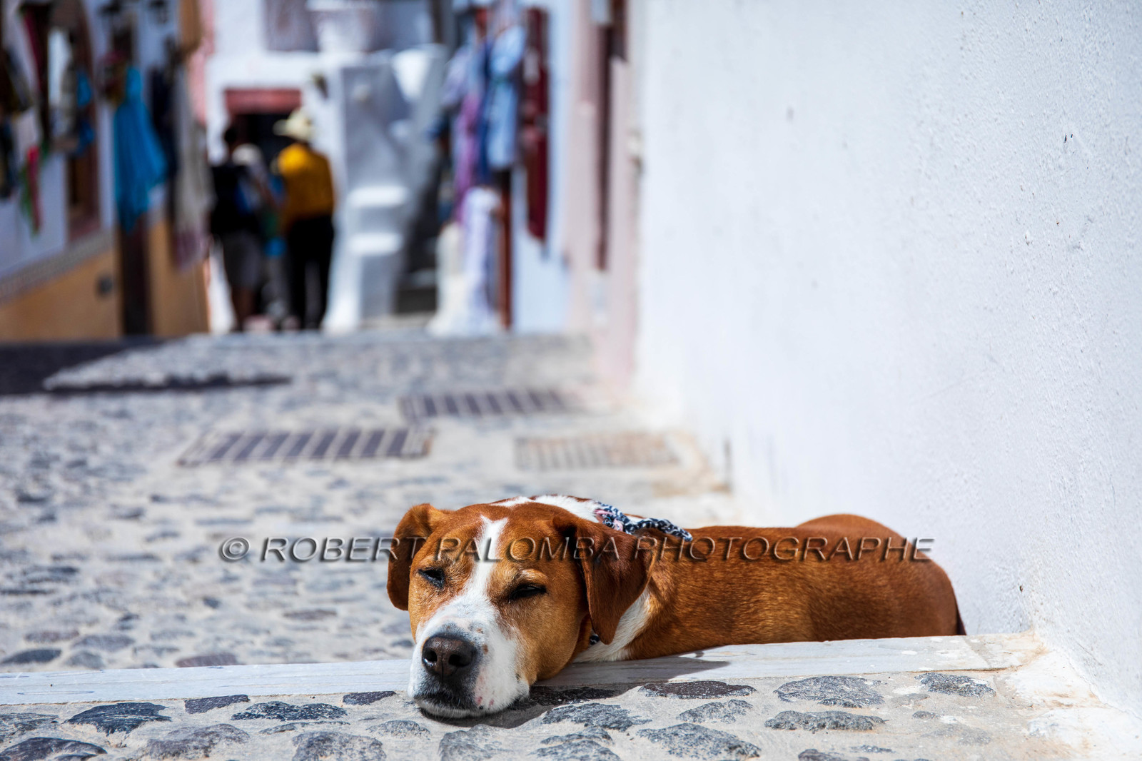 Santorin, Oia