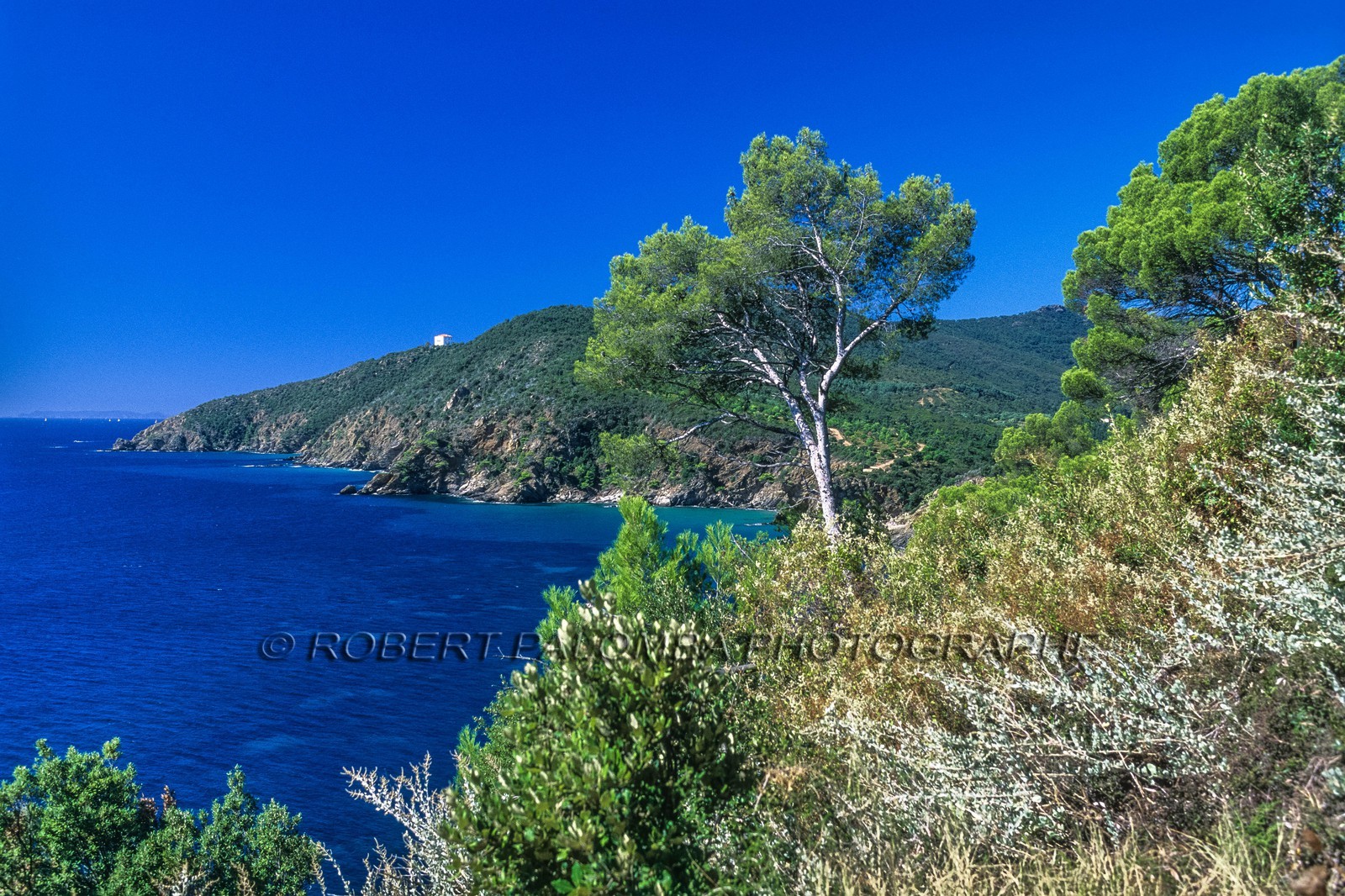 Cavalaire