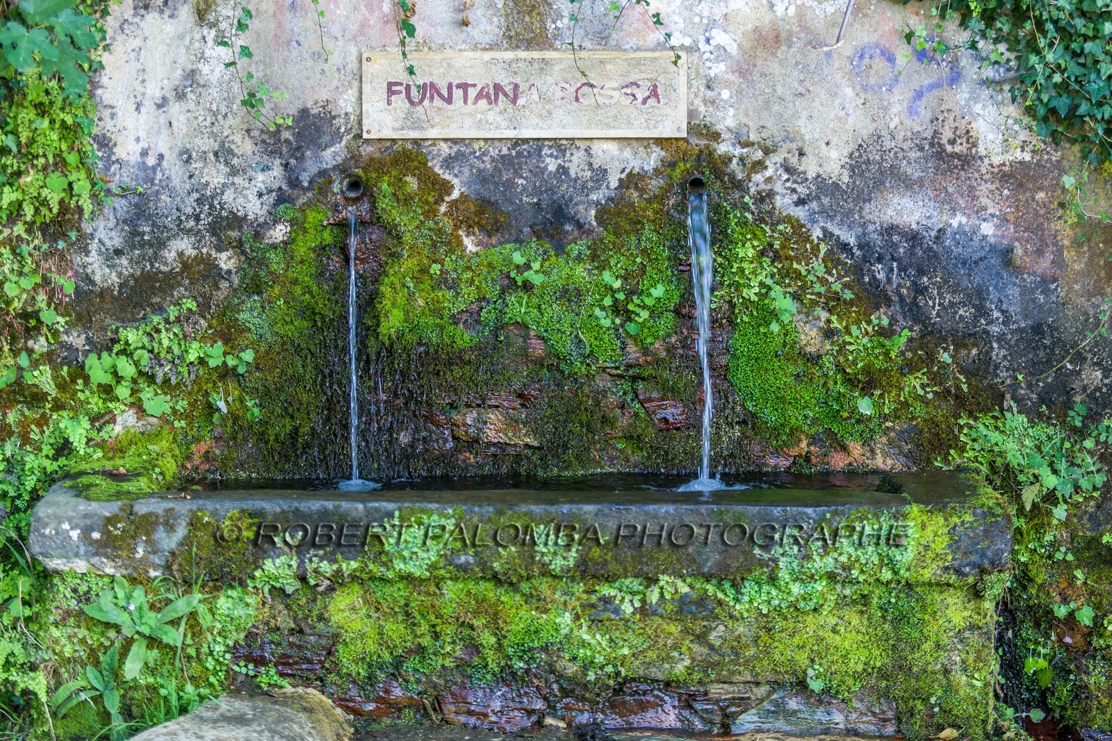 Piève
