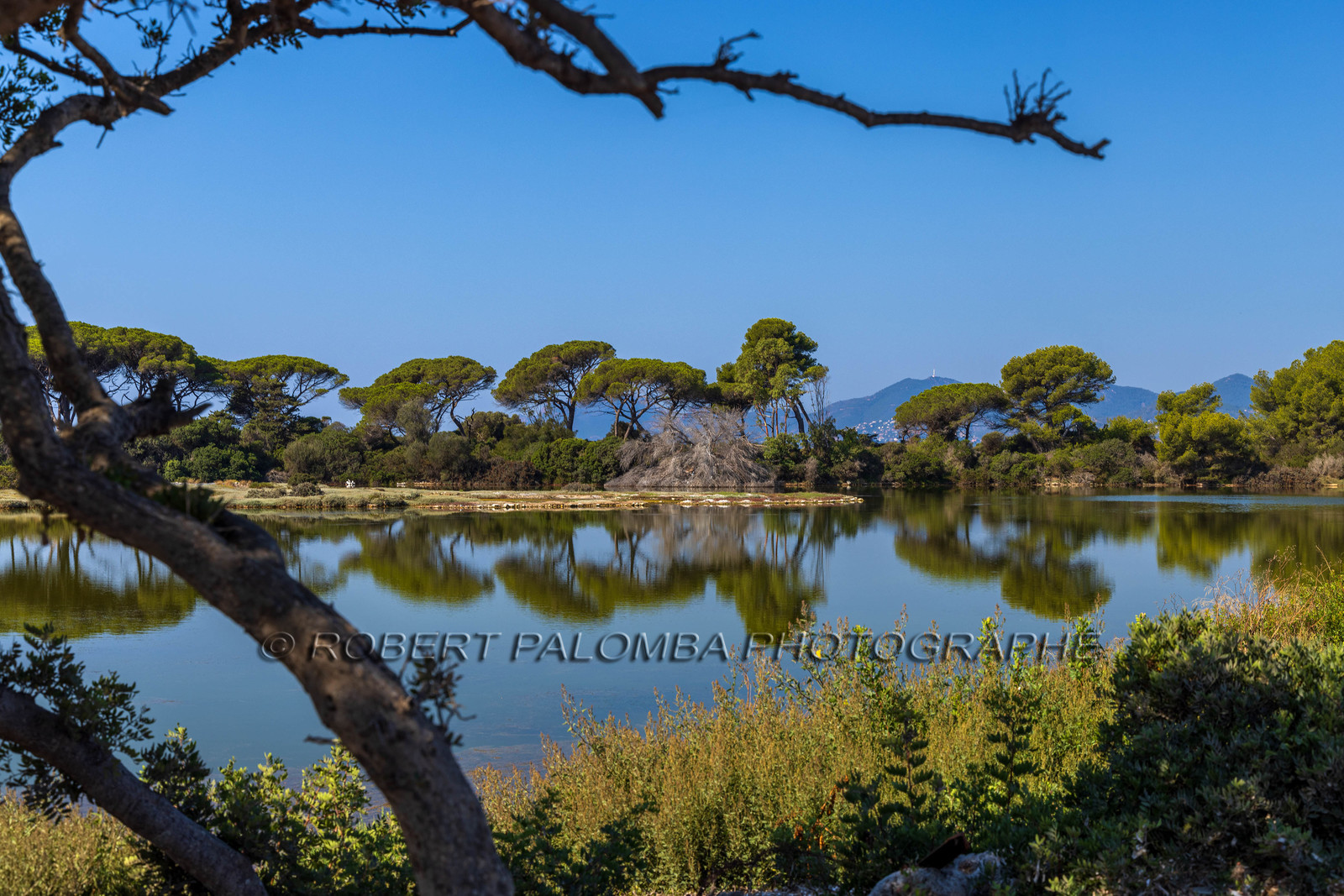 Lérins Sainte-Marguerite 2023