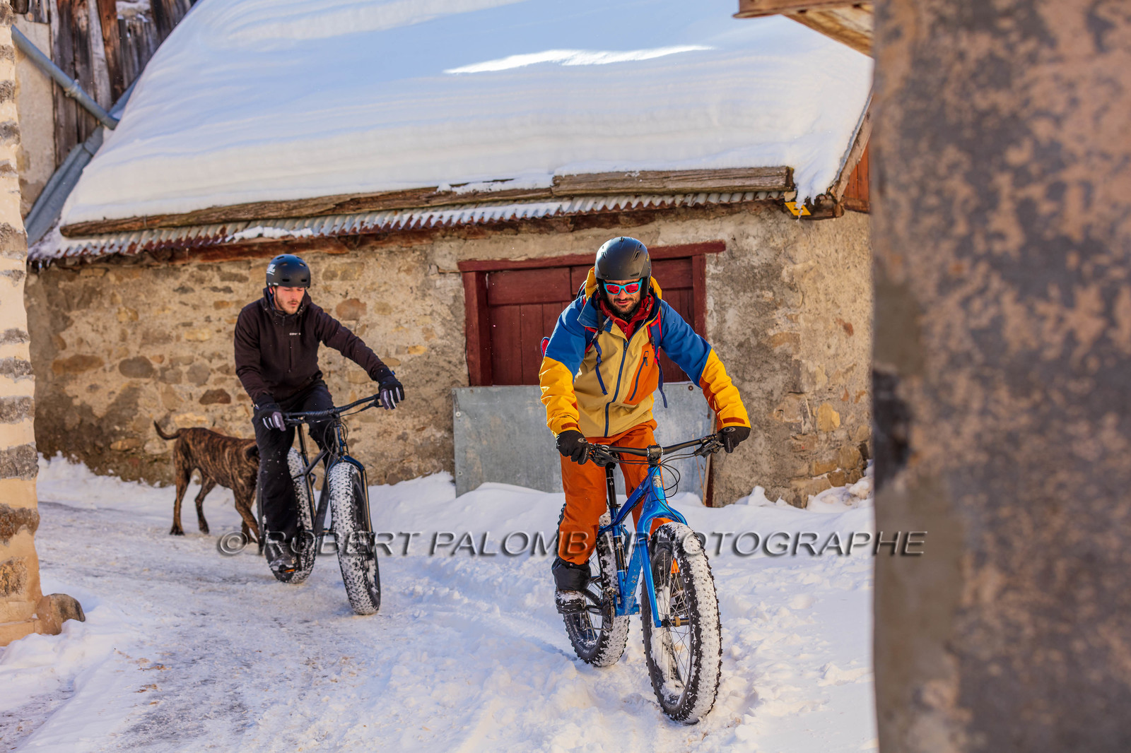 Fat Bike