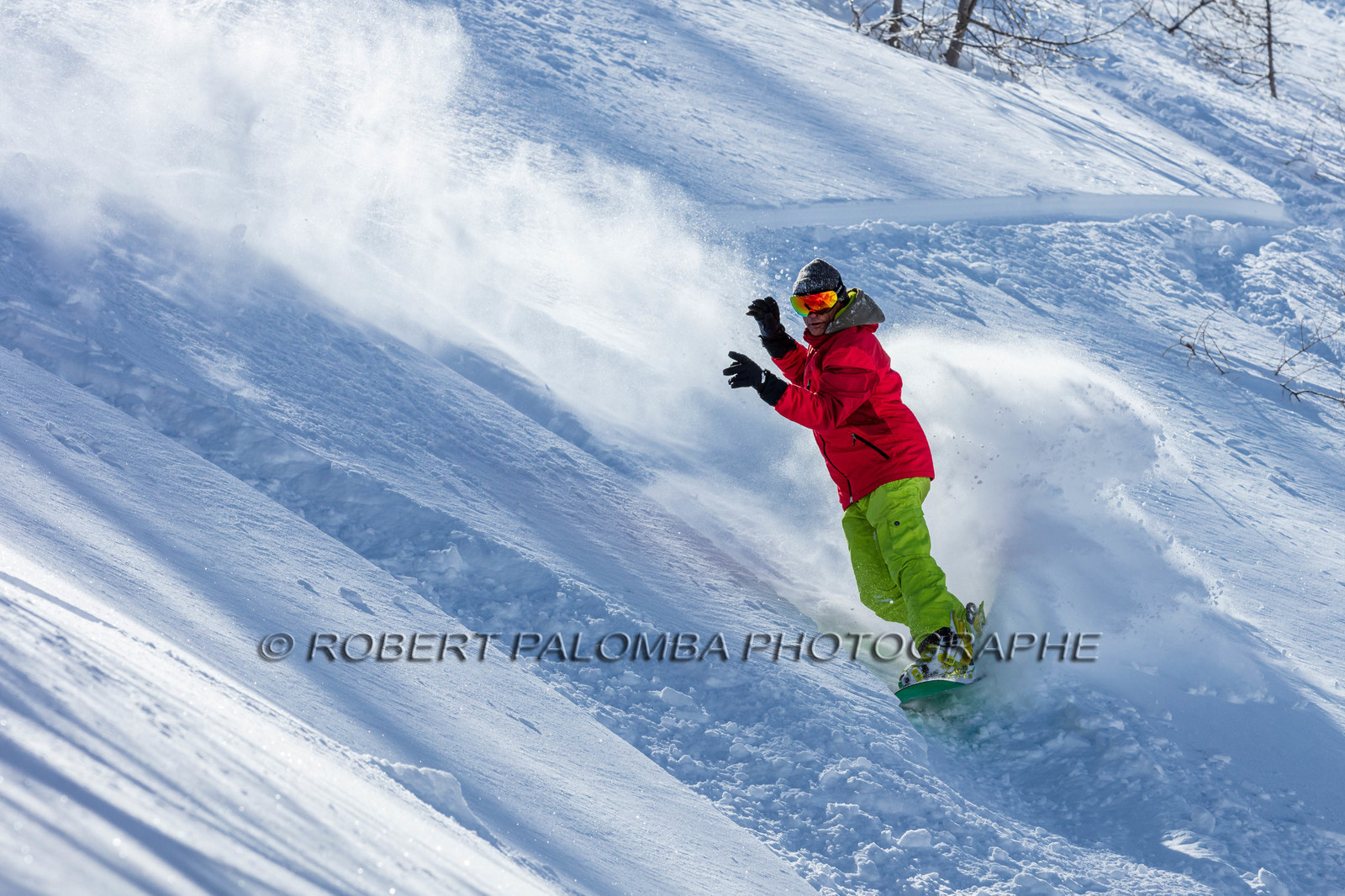 Snowboard