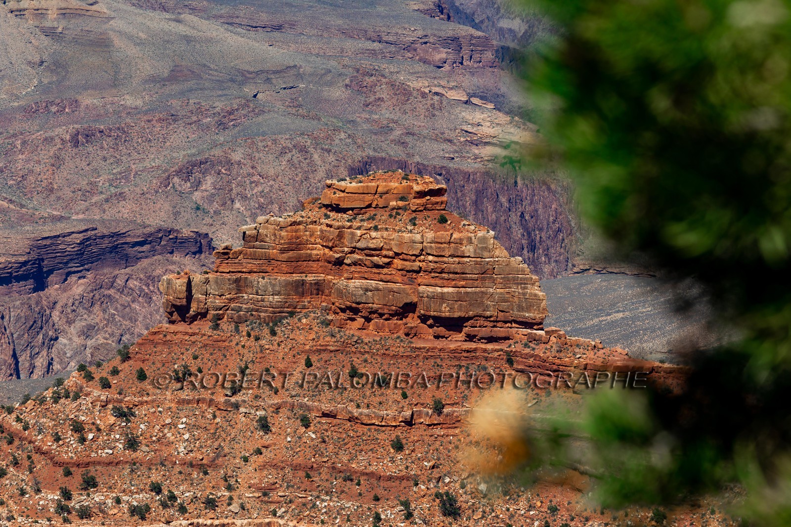 Grand Canyon