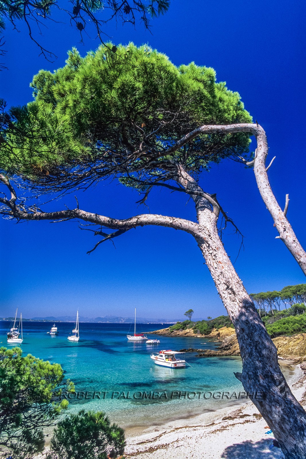 Porquerolles